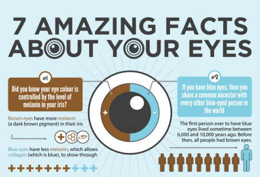 7 Amazing Facts About Your Eyes